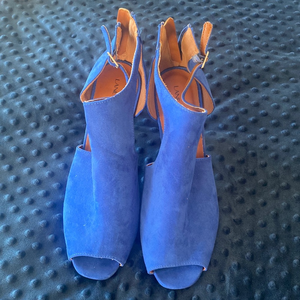 Beautiful blue shoes from lane Bryant. Bought but never ended up wearing!